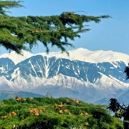 Aditya Homestay Далхаузи Екстериор снимка