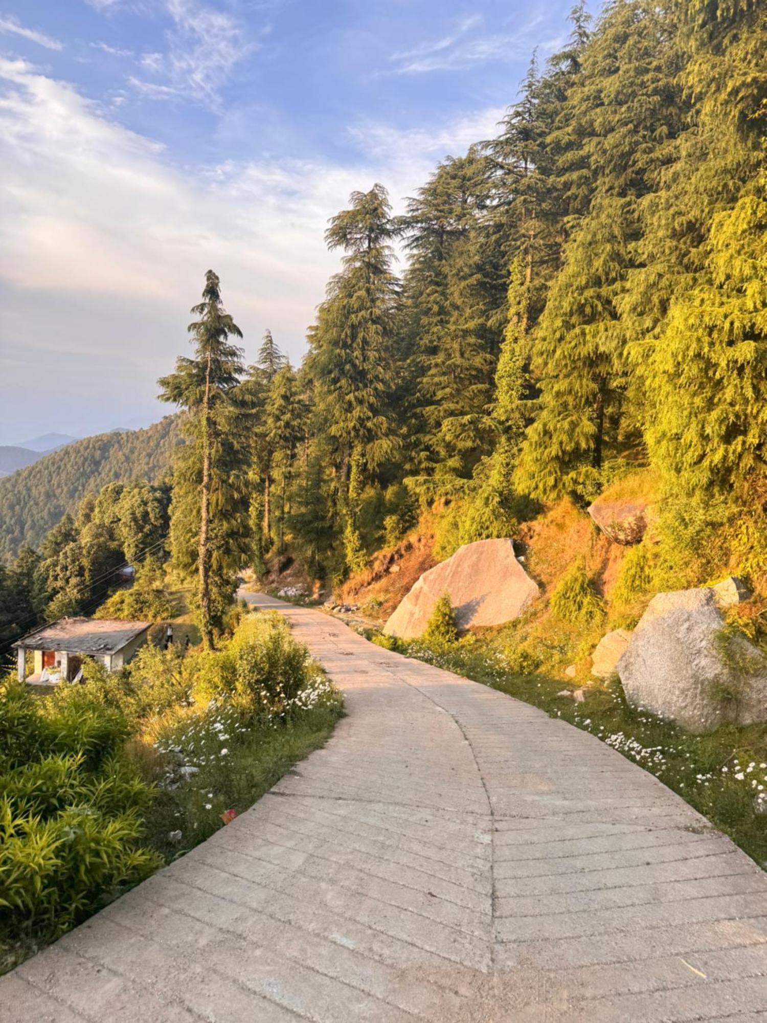 Aditya Homestay Далхаузи Екстериор снимка
