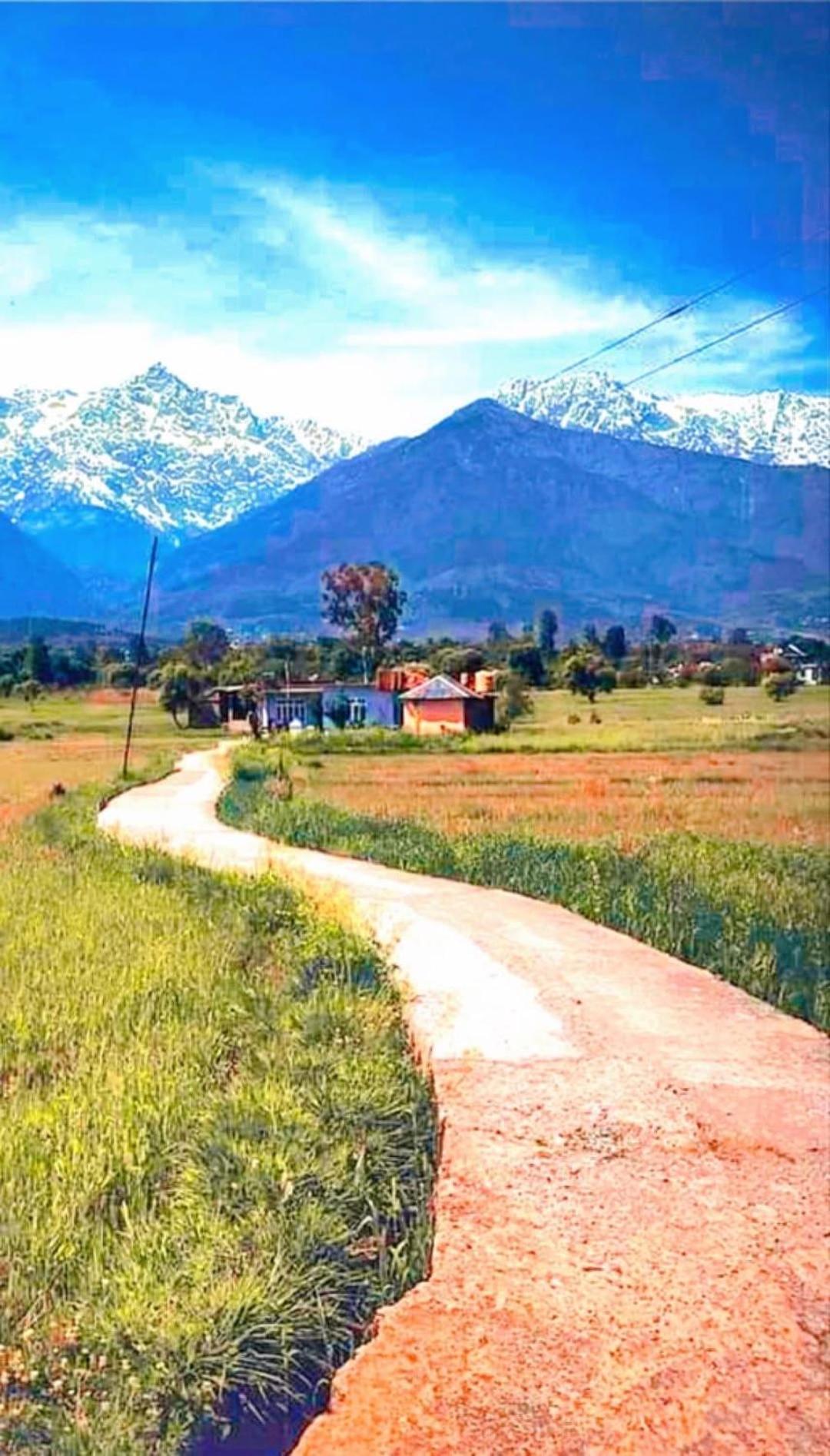Aditya Homestay Далхаузи Екстериор снимка