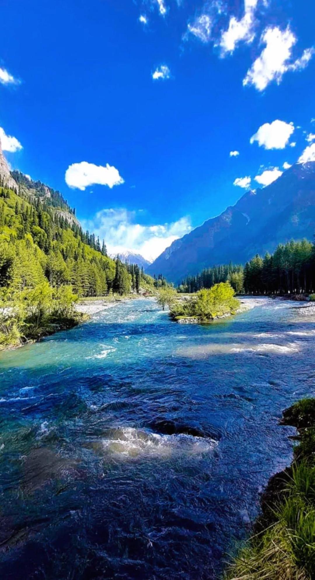 Aditya Homestay Далхаузи Екстериор снимка