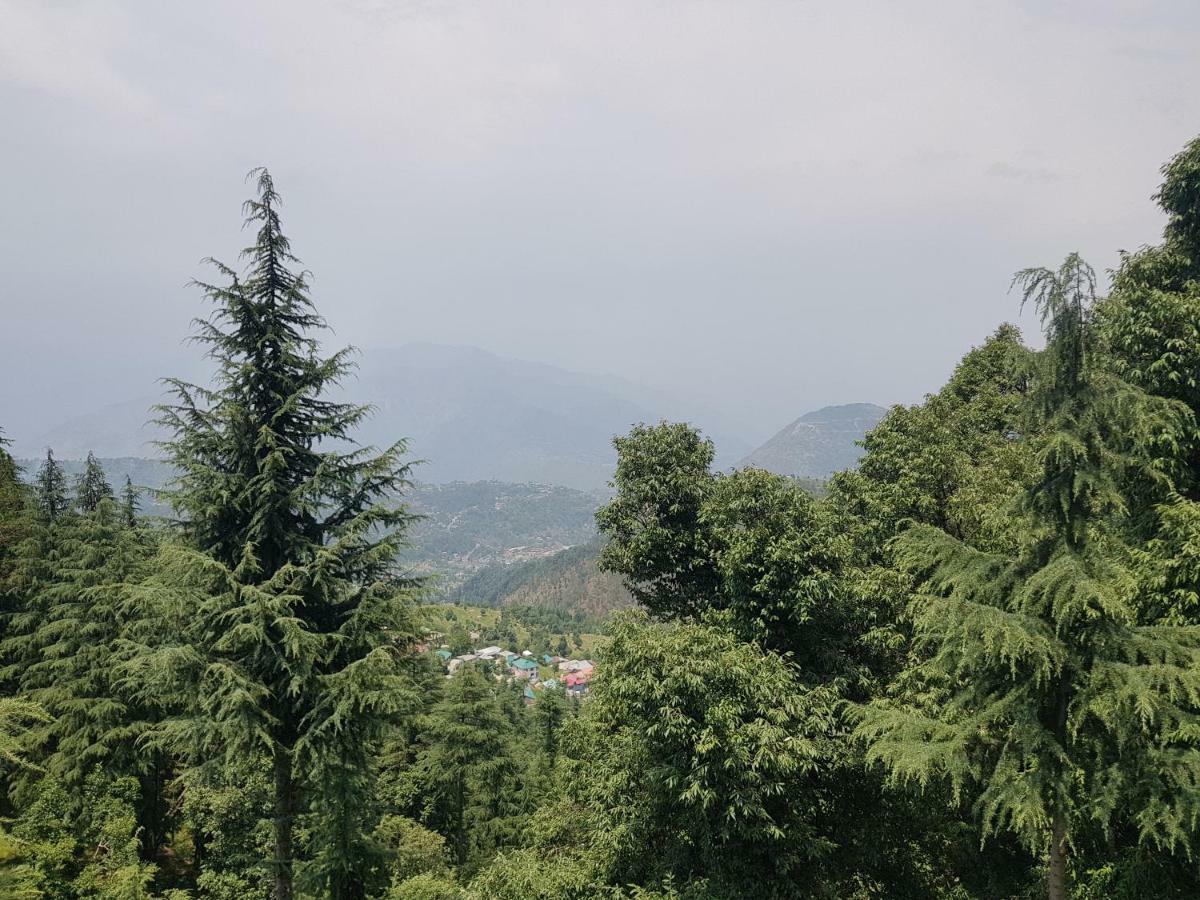 Aditya Homestay Далхаузи Екстериор снимка